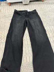 American Eagle Baggy Wide-Leg Low-Rise Jeans