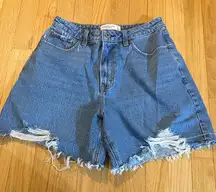 Abercrombie & Fitch Curve Love The Loose Short High Rise Sz 4/27