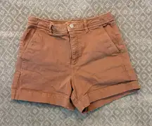 Everlane Wayhigh Brown Denim Shorts, Size 8