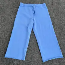 Frank & Eileen Catherine Favorite Sweatpant Triple Fleece Blue Medium Wide Leg