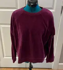 Banana Republic Velvet Sweatshirt