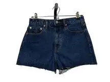 Unpublished  High Waist Cutoff Denim Shorts