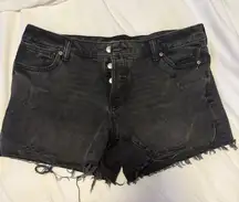 Express Denim Shorts