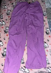 Wild Fable Purple Cargo Pants