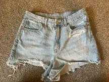 Outfitters Shorts