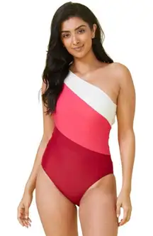 Summersalt The Sidestroke One-Piece Swimsuit One Shoulder NWOT Size 6