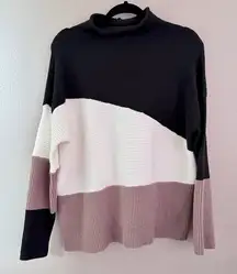 Pink Lily Tricolor Turtleneck Sweater