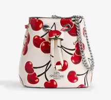 Drawstring Wristlet With Cherry Print - Novelty Leather/Silver/Chalk Multi