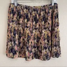 J.Crew Broadway & Broome for  Size 8 Multi-Color Pleated Mini Skirt