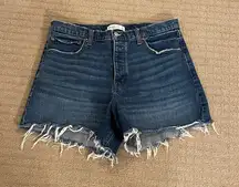 Abercrombie & Fitch The Dad Short High Rise