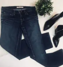 J Brand Medium Wash Skinny Jeans