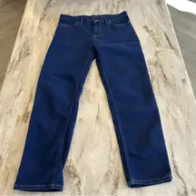 Patagonia Women's Jeans Boyfriend Organic Cotton Denim Blue Outdoor Size 26