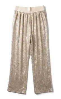 Brunello Cucinelli Sequin Wide Leg Pants Beige Cream Trousers Italy Size 36