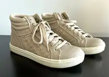 BRASH Grey Hightop Sneakers Sz 6