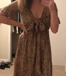 Mini Cheetah Dress