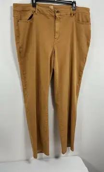 Womans Dress Barn Stretch Jeans 22 Rust