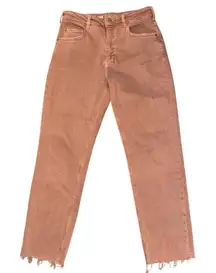 Anthropologie Pilcro The Vintage Straight Jeans Rust Size 27P