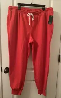 Wild Fable Women's Plus Red Jogging Track Pants Sweatpants Size XXL