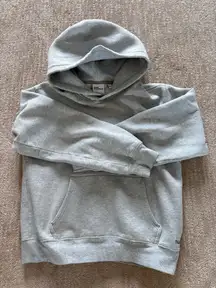 TNA Aritzia Perfect Fit Hoodie