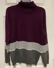 Calvin Klein Plum Purple Color Block Turtleneck Sweater