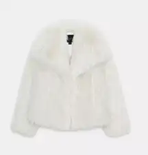 ZARA Fur Coat