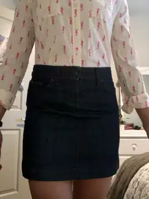 J. Crew Denim Skirt 