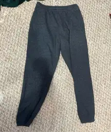 Fruit of the loom gray sweatpants M