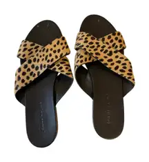 Jenni Kayne Pony Hair Crossover sandal size 39