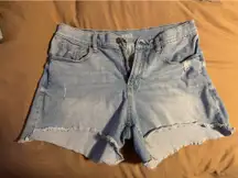 Ana A New Approach Shorts Jean