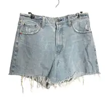 Abercrombie & Fitch The Dad Short High Rise Distressed Denim Shorts Size 29