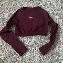 Amplify Brown Cropped Long Sleeve Size Small