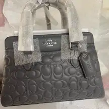 Coach Mini Darcie Carryall With Signature