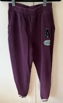 Zara Women’s Purple Preppy Cozy Joggers Sweatpants Size Medium‎