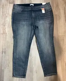 NWT Lane Bryant size 24 signature fit jeggings