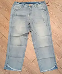 🆕 👖‎ Jag Jeans Womens 10 Mid Rise Straight Ankle Denim Capris Light Wash NEW