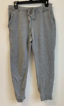 Ugg Women’s Jogger Lounge Sweat Pants Fleece Inside Velour Gray Size Large