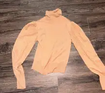 Sheer Sleeve Turtleneck