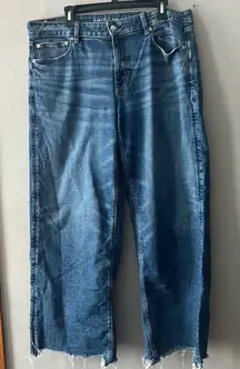American Eagle Low Rise Baggy Jeans Size 12