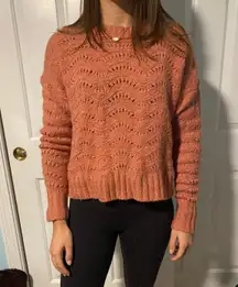 Pink Sweater