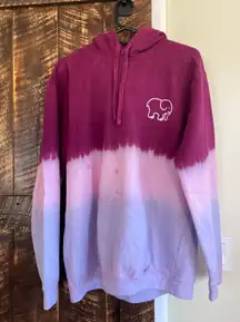 Ombre Hoodie