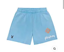 By Pacsun Shorts