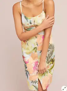 Farm Rio Tropical Shift Dress S