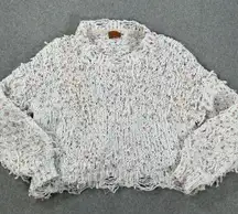 POL Confetti Distressed Fringe Chenille Sweater Size Large Boxy Cropped Knit