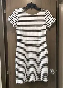 Banana Republic  Striped Dress