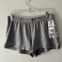 Aerie Fit Gray Casual Shorts