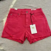 Cosmic Blue Love Stitch Fix Pink Frayed Hem High Rise Cut Off Shorts Size 26