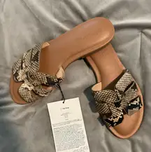 The Drop Women's Monika Sandals