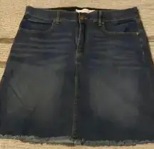 Vintage America Jean skirt