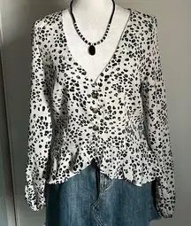 Nasty Gal  Deep V-Neck Leopard Print Button Up Long Sleeve Semi-Sheer Blouse