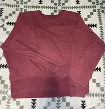 American Eagle Outfitters Sweatshirt Cropped Crewneck